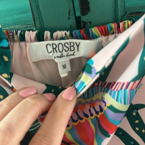 CROSBY Bowie Dress in Parrot Party - RARE - Picture 6 of 6